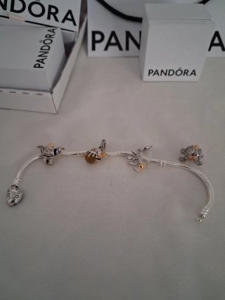 Charm plata ley para pulsera Pandora