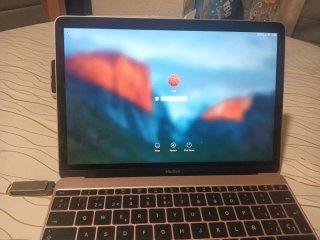 MacBook Air 12 Rosa/Dorado  año 2017