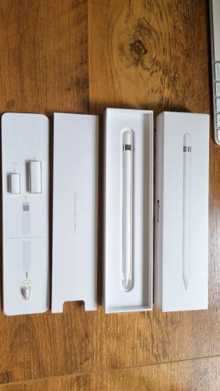 Apple Pencil 1ª Gen