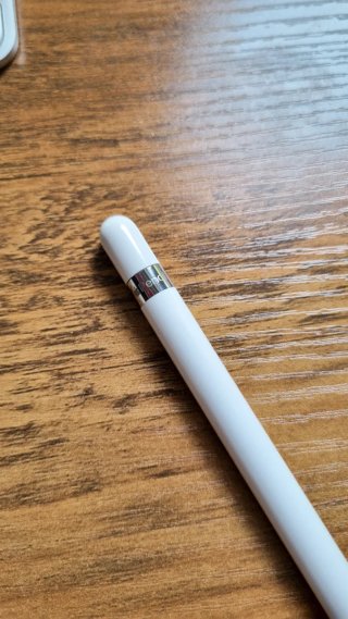 Apple Pencil 1ª Gen