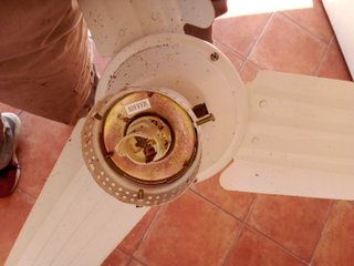 Ventilatore da soffitto - Parti di ricambio