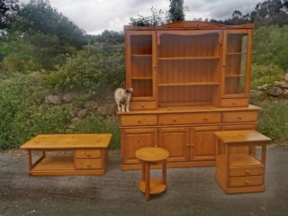 Muebles de salón (madera maciza)