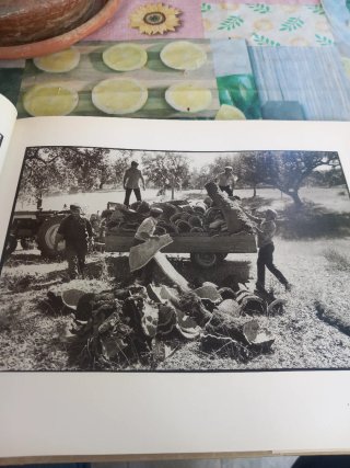Una storia Portoghese di Fausto Giaccone.