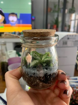 Mini terrario con plantas y figura
