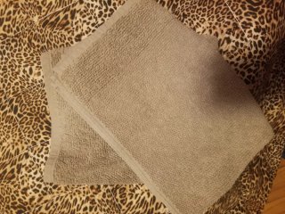 Asciugamani Zucchi beige/marrone cotone