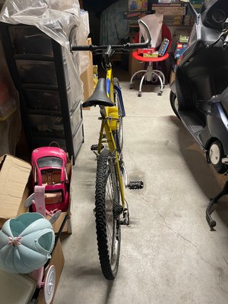 Bicicletta da uomo
