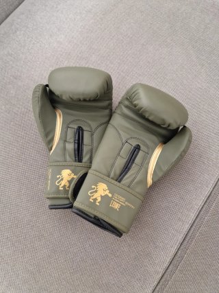 Guantes Boxeo Leone 1947 Military Edition