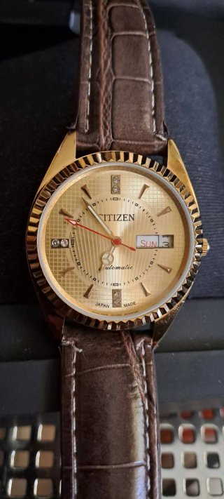 Orologio Citizen Automatico Oro Pelle Marrone