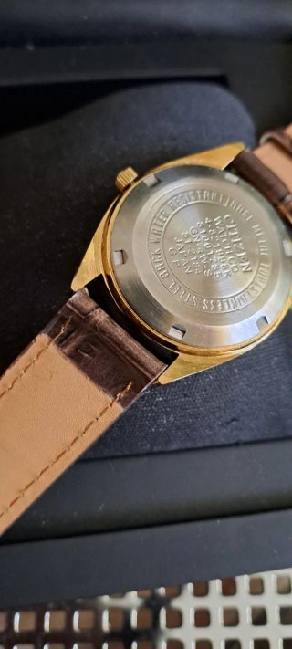 Orologio Citizen Automatico Oro Pelle Marrone