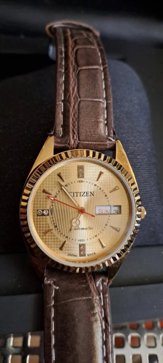 Orologio Citizen Automatico Oro Pelle Marrone