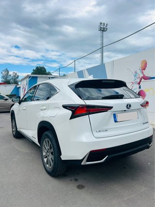 Lexus NX 2019