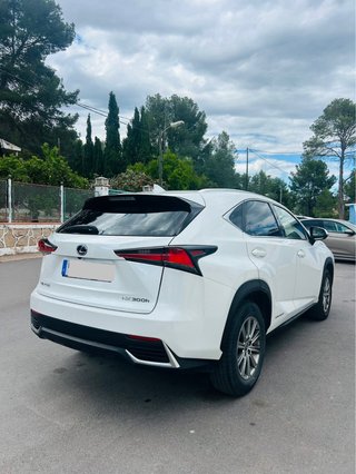 Lexus NX 2019