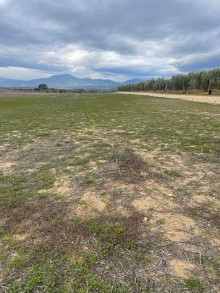 Parcela en venta
