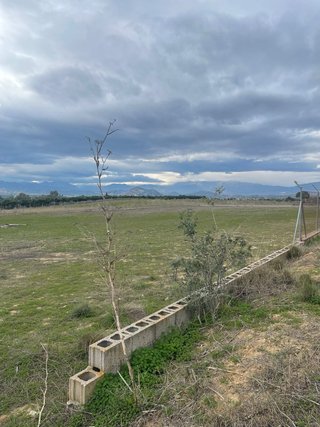 Parcela en venta