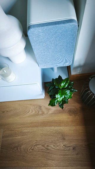 Teufel ULTIMA 20 KOMBO 2 Altavoces