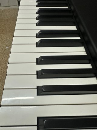 Teclado MIDI SL73 Studio