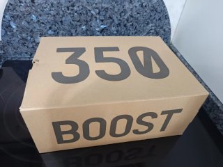 Adidas Yeezy Boost 350 V2 Beige/Gris