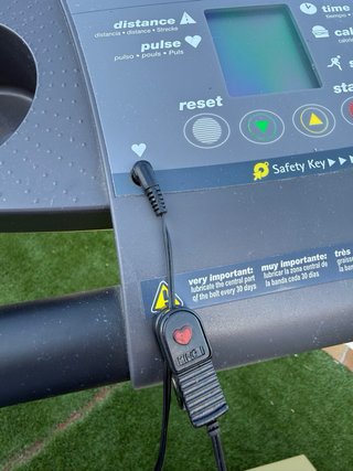 Cinta de Correr Plegable Pro Action