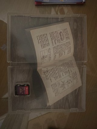 Pokemon Violetto Nintendo Switch