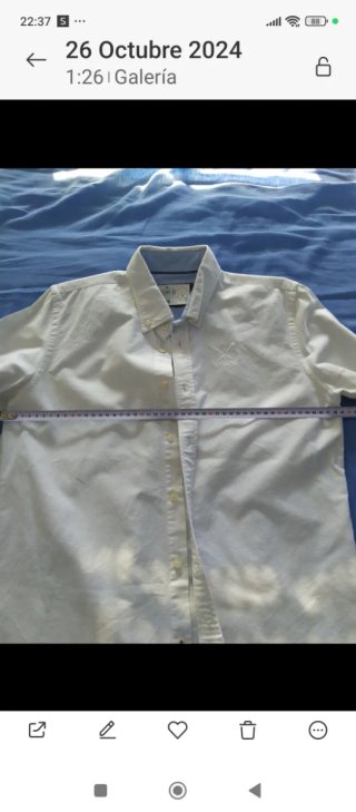 Camisa blanca talla 16