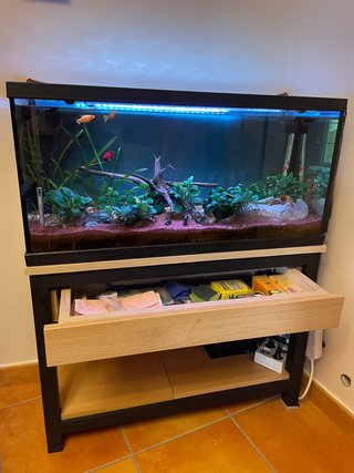 Acuario 100L Completo
