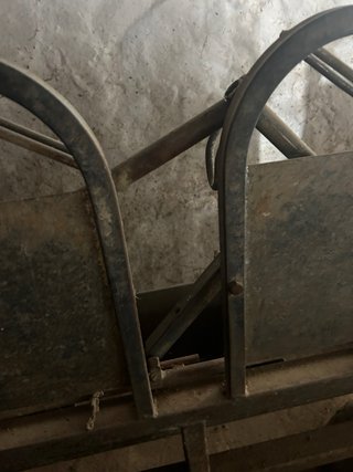 Amarre sala de ordeño cabras 12 cabezas