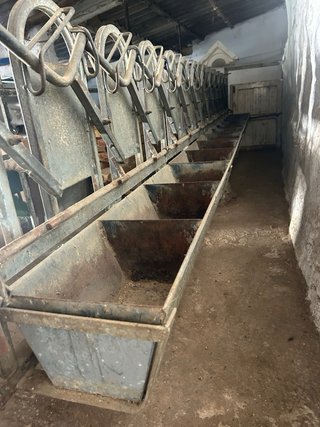 Amarre sala de ordeño cabras 12 cabezas