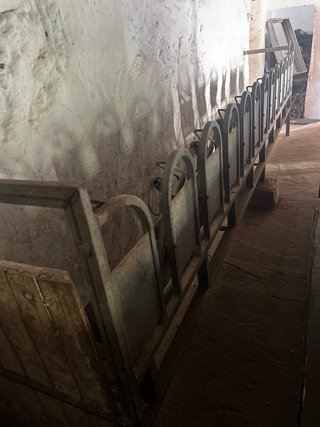 Amarre sala de ordeño cabras 12 cabezas