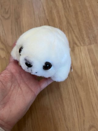 Peluches focas 2