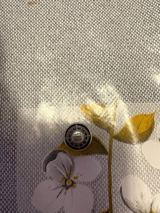 Pandora Charm Plata