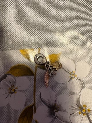 Pandora Charm Plata