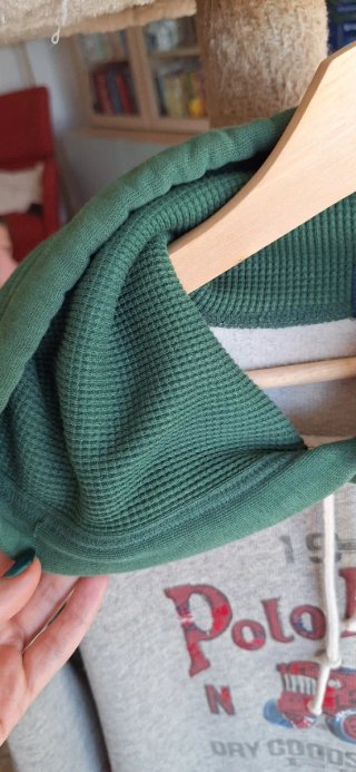 Sudadera Polo Ralph Lauren Gris y Verde