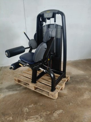 FEMORAL SENTADO TECHNOGYM!