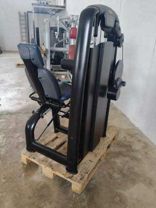 FEMORAL SENTADO TECHNOGYM!