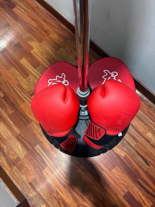 Punching de boxeo adulto + guantes