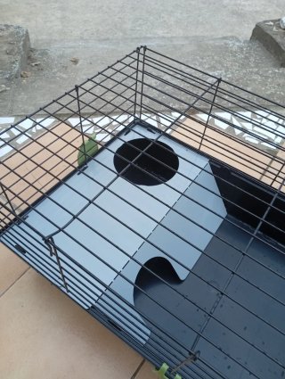 Jaula para hámster, conejo, cobaya