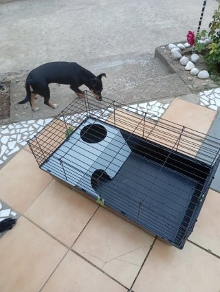 Jaula para hámster, conejo, cobaya