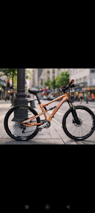 Bicicleta de Montaña Naranja SPICY
