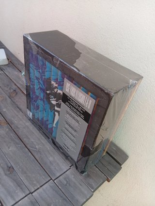 Guns N' Roses - Use Your Illusion I & II Vinilo