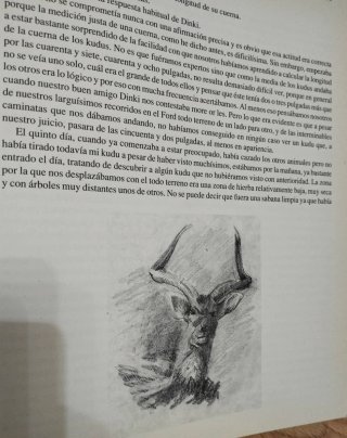 LOS VIAJES DE MI RIFLE - LIBRO CINEGÉTICA DEDICADO