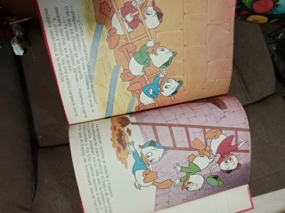 Libro de los juegos