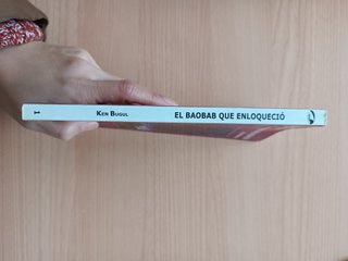 El baobab que enloqueció - Ken Bugul