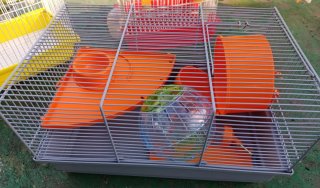 Jaulas para pájaros y roedor
