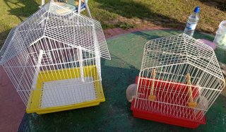 Jaulas para pájaros y roedor