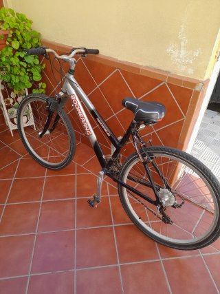 Bicicleta Boomerang Roncesvalles