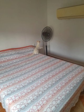Alquilo habitacion SOLO A HOMBRES