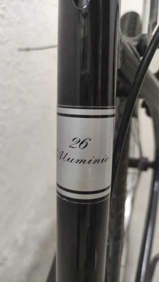 Bicicleta Paseo B-Pro Rodado 26