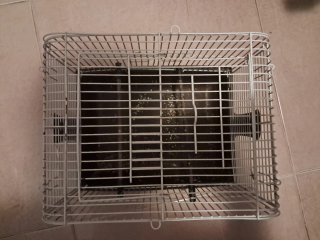 Jaula para pájaros