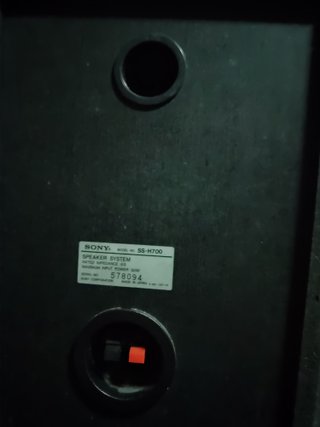 Altavoces Sony 2 vías 50W