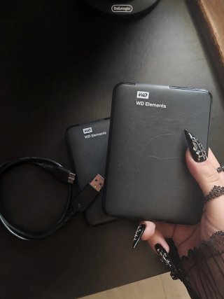 2 Almacenamientos Externos WD